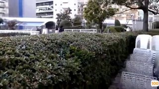 人人妻人人爽人人模夜夜夜